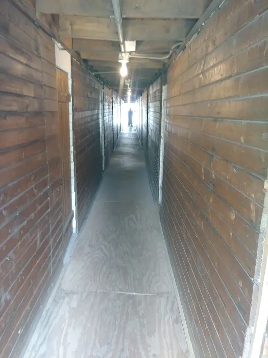 Wesleyan Methodist Campground Picture 4