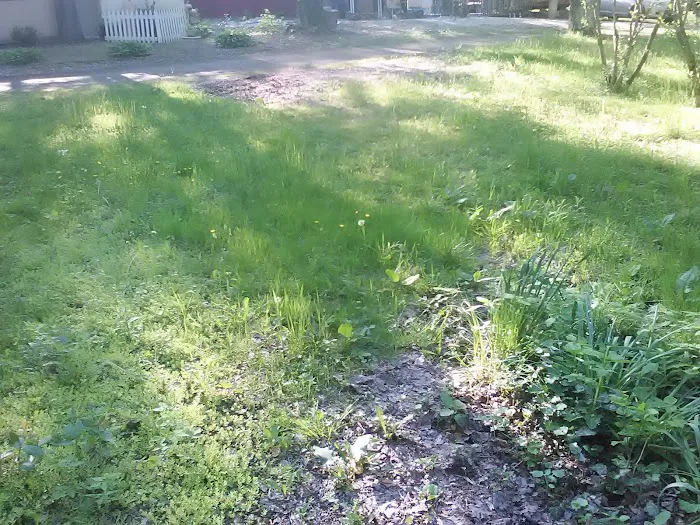 Runamuck Campground & RV Supply Picture 4