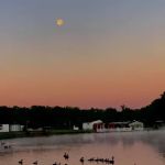 Plantation Park