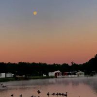 Plantation Park ico