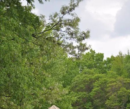 RV Village Camping Resort
