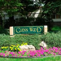 Glenn Wood ico