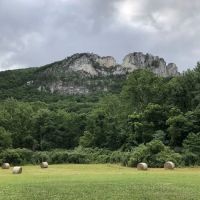 Seneca Shadows Campground ico