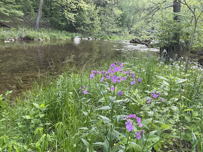 Thorn Spring Park Picture 9
