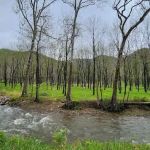 The Trout Camp aka Fontinalis Farms and Campground LLC.
