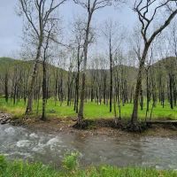 The Trout Camp aka Fontinalis Farms and Campground LLC. ico