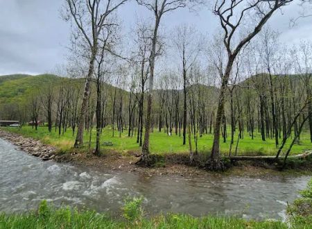 The Trout Camp aka Fontinalis Farms and Campground LLC.