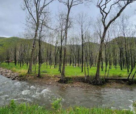The Trout Camp aka Fontinalis Farms and Campground LLC.