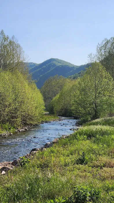The Trout Camp aka Fontinalis Farms and Campground LLC. Picture 5