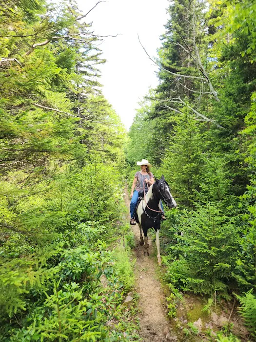 Wrangler Meadow Horse Camp Picture 4