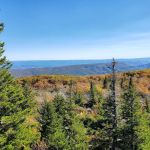 Wrangler Meadow Horse Camp