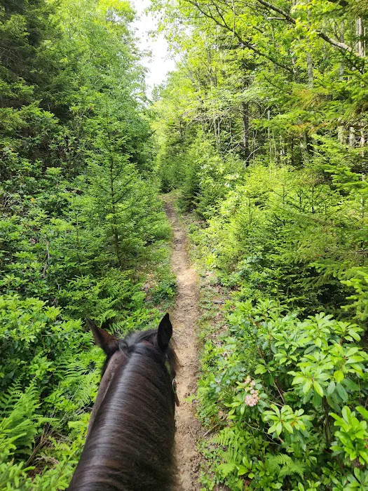 Wrangler Meadow Horse Camp Picture 5
