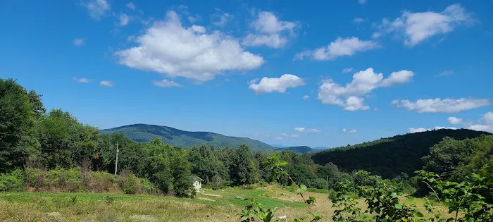 4 Mile Rock Meadows RV Camping Picture 4