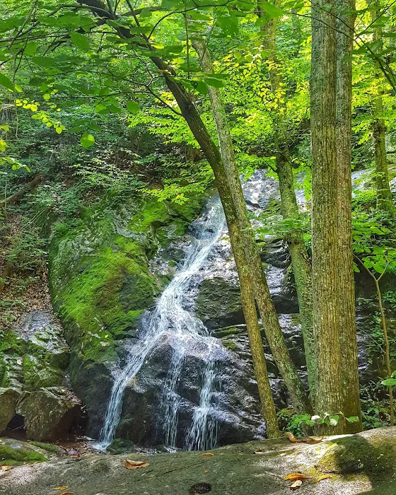 Crabtree Falls Campgrounds Picture 10