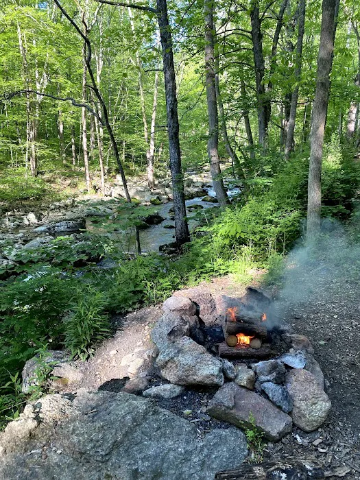 Crabtree Falls Campgrounds Picture 8
