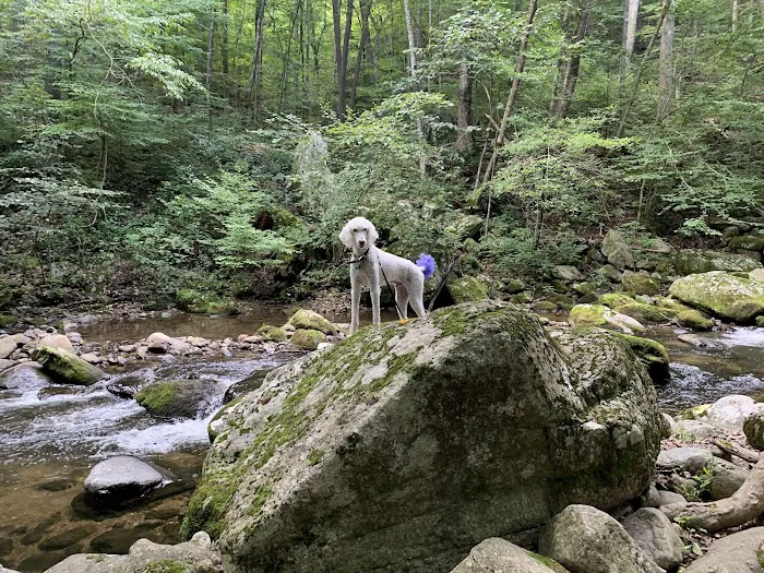 Crabtree Falls Campgrounds Picture 7