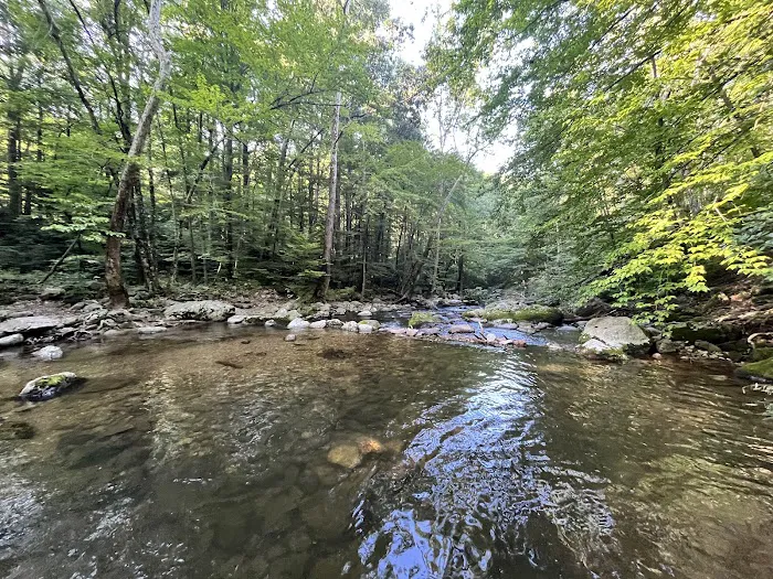 Crabtree Falls Campgrounds Picture 4