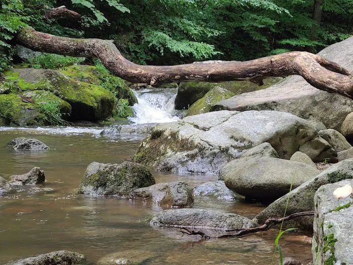 Crabtree Falls Campgrounds Picture 6