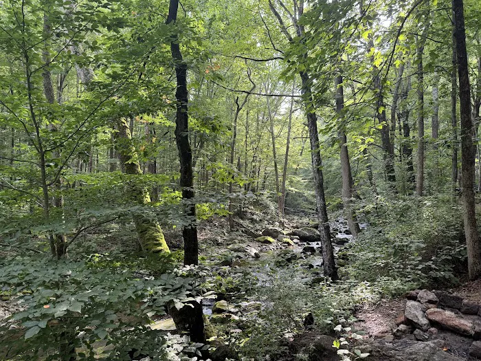 Crabtree Falls Campgrounds Picture 5