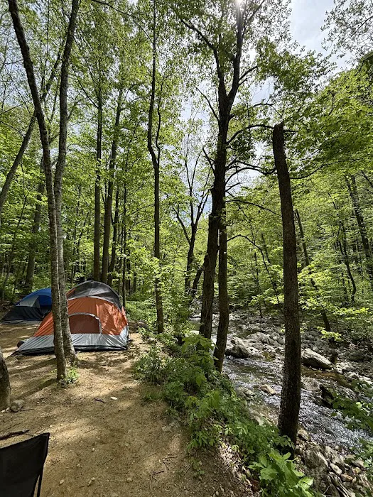 Crabtree Falls Campgrounds Picture 3