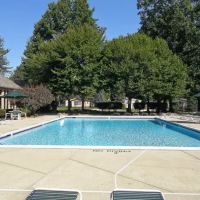 Shelby Forest ico