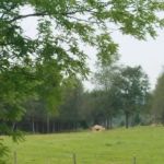 Restrite Campground