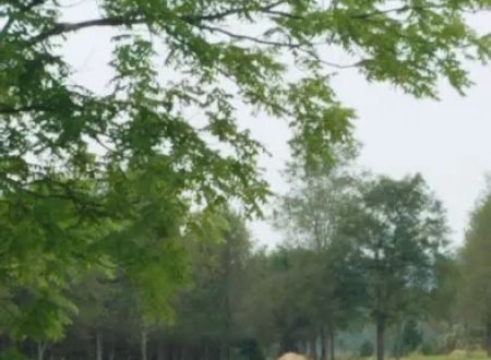 Restrite Campground