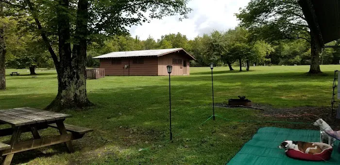 Blackwater Falls Campground Picture 6