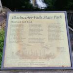 Blackwater Falls Campground