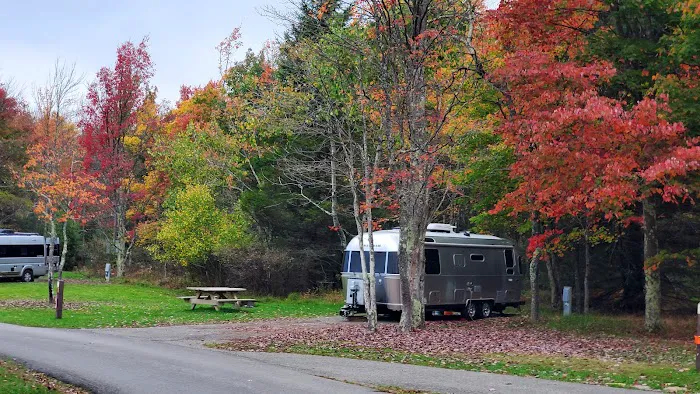 Blackwater Falls Campground Picture 4