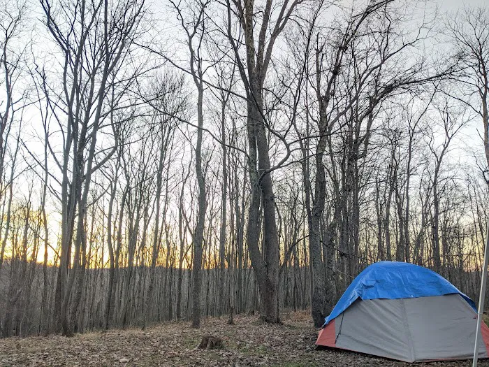 Blackwater Falls Campground Picture 5