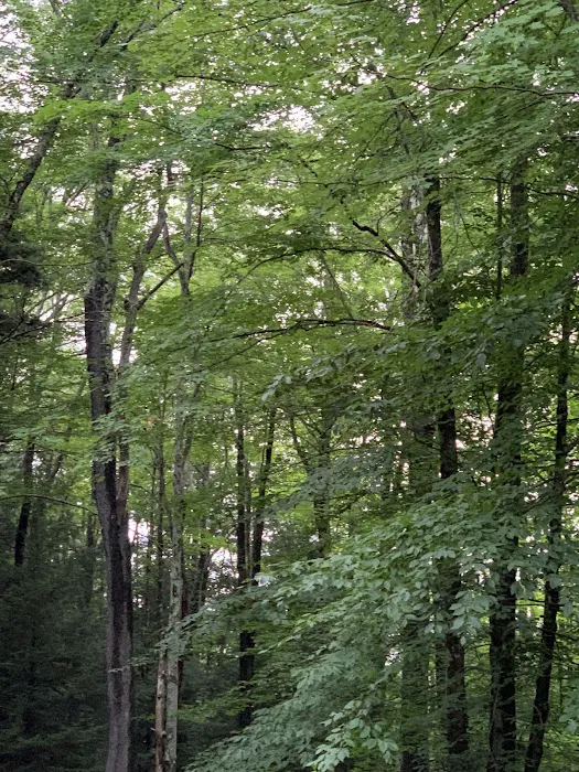 Canaan Valley Resort Campground Picture 7