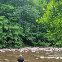 BLUESKY CAMPGROUND AT LITTLE TORY LLC ico