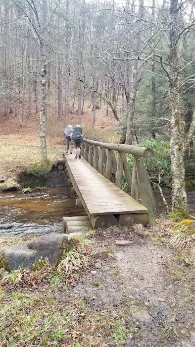 Judy Springs Campground Picture 1