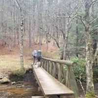 Judy Springs Campground ico