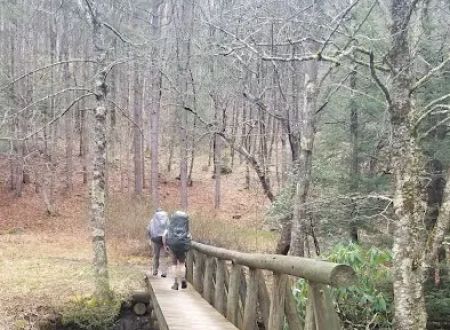 Judy Springs Campground