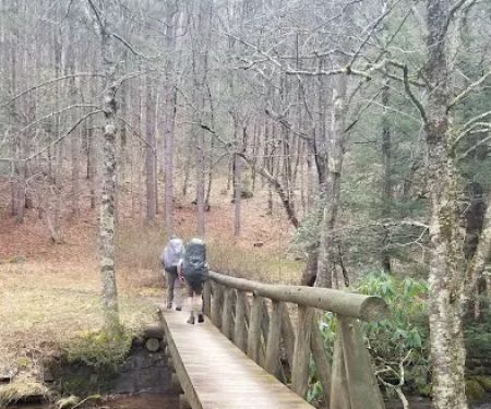 Judy Springs Campground