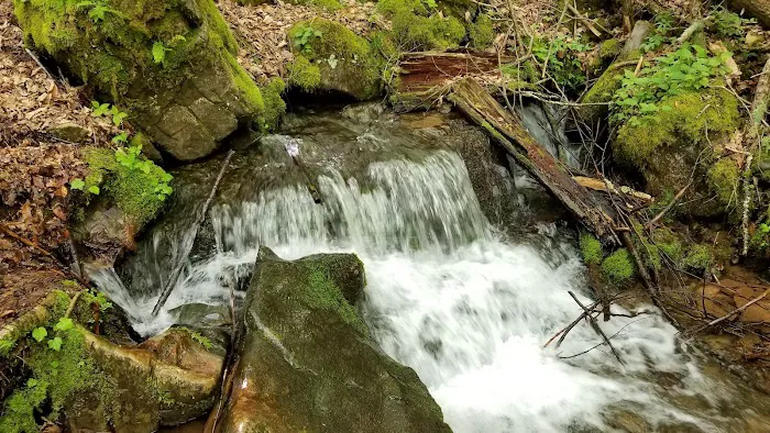 Judy Springs Campground Picture 2