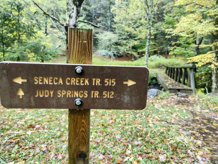 Judy Springs Campground Picture 3