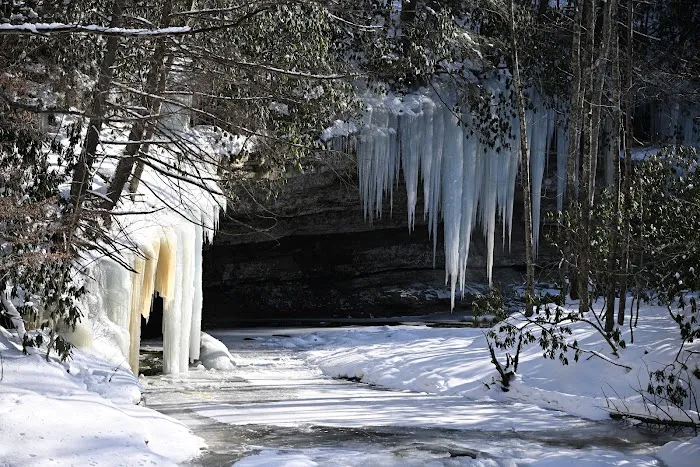 Swallow Rock Campground Picture 3