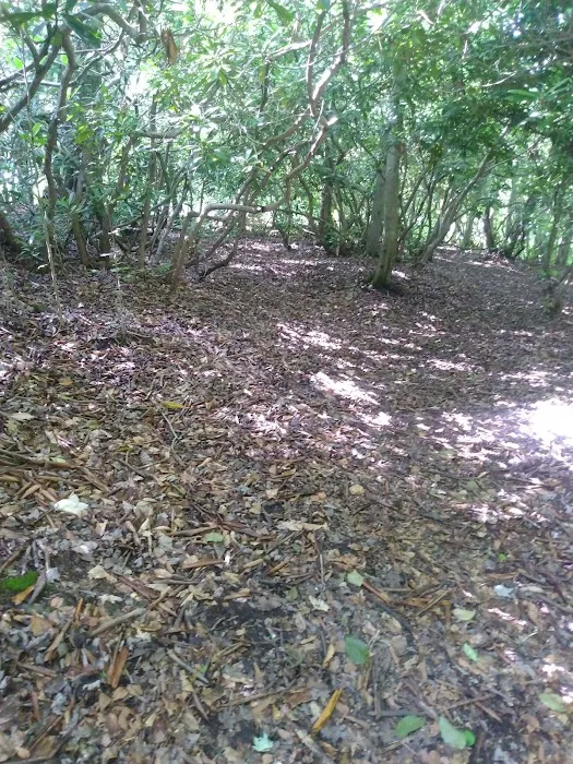 Swallow Rock Campground Picture 6