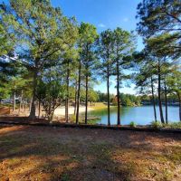 Davis Lakes & Campgrounds ico