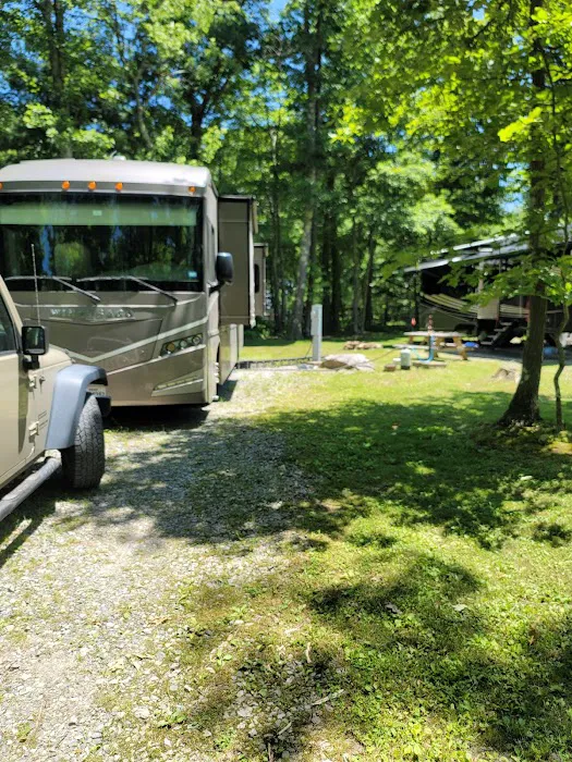 Sand Springs Campground Picture 3