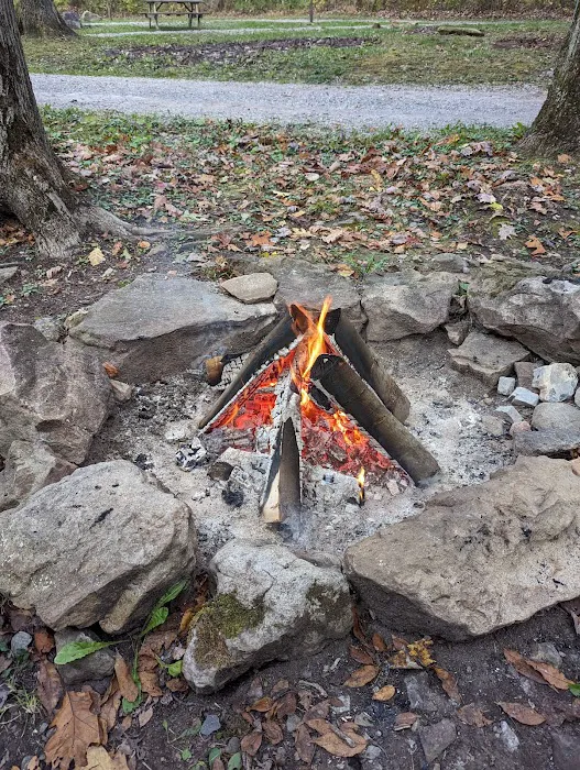 Sand Springs Campground Picture 7