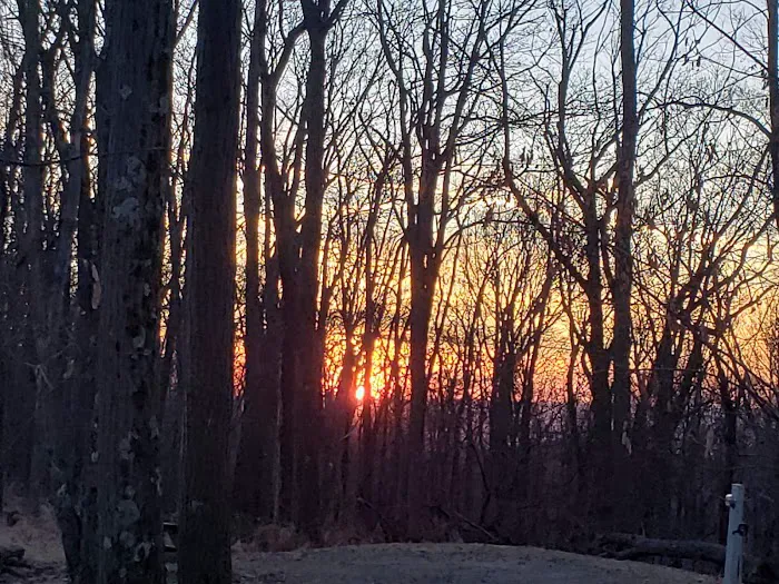Sand Springs Campground Picture 9