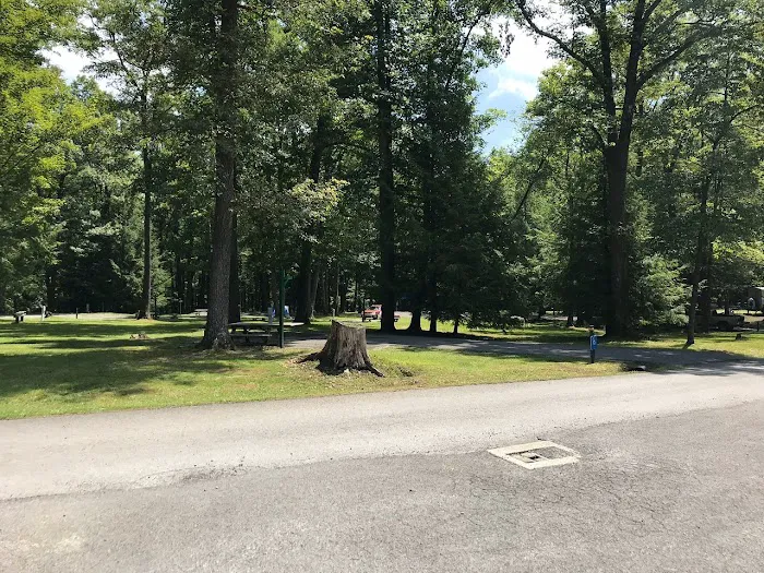 McCollum Campground Picture 8