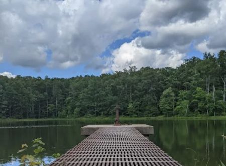McCollum Campground