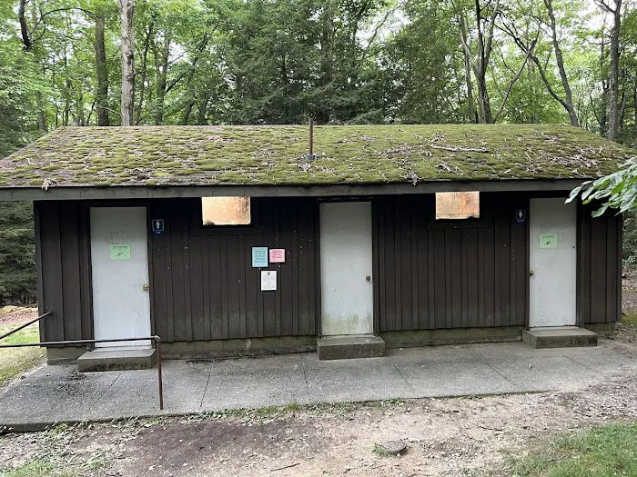 Rhododendron Camping Area Picture 5
