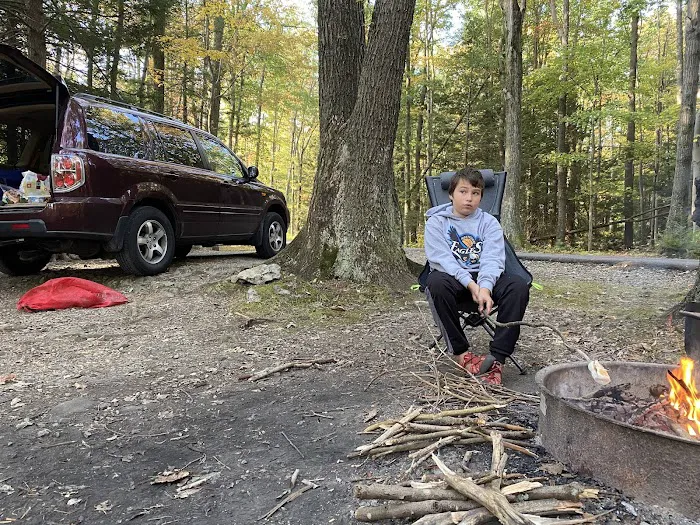 Rhododendron Camping Area Picture 6