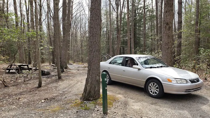 Rhododendron Camping Area Picture 8
